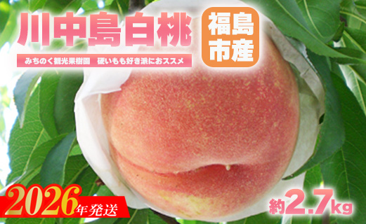 No.2348もも「川中島白桃」贈答用　約2.7kg【2026年発送　先行予約】