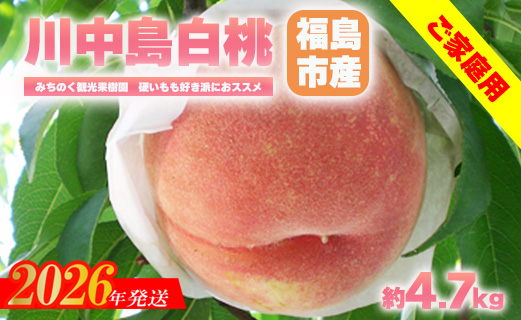 No.2350もも「川中島白桃」ご家庭用　約4.7kg【2026年発送　先行予約】