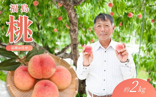 No.2405福島 桃　約2kg【2026年発送 先行予約】