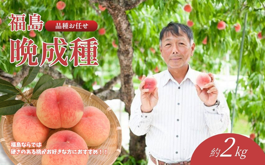 No.2407福島 桃　晩成種約2kg【2026年発送 先行予約】