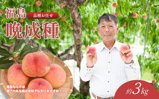 No.2408福島 桃　晩成種約3kg【2026年発送 先行予約】