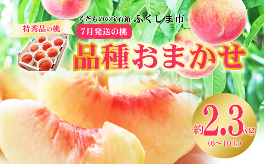 No.2422　7月発送の桃 特秀品約2.3kg【2026年発送】