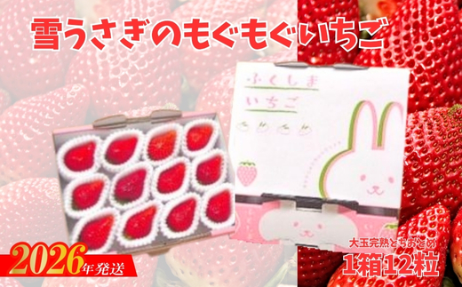 No.2477福島市産いちご【大粒完熟とちおとめ 】雪うさぎのもぐもぐいちご 1箱12個入り（約400g）【2026年１月下旬より発送】