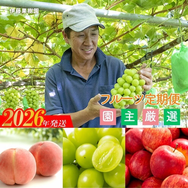 No.2495 伊藤果樹園のフルーツ3種定期便【2026年発送　先行予約】