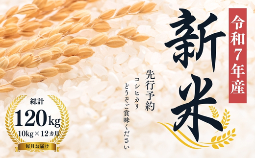No.2497【令和７年産新米　先行予約】大文字屋米穀店【定期便12回】コシヒカリ 10kg（5kg×2）精米 （毎月お届け）