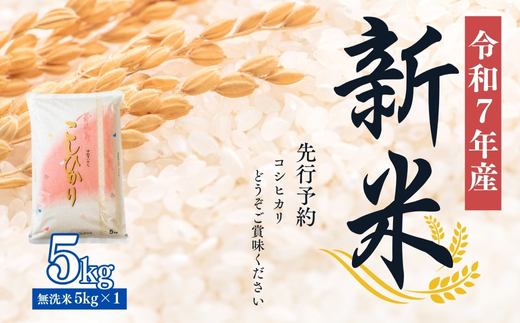 No.2500大文字屋米穀店【令和7年産新米】コシヒカリ精米（無洗米）1等米 5kg