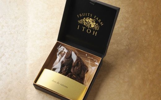 No.2508duo de raisins（シャインマスカットの枝付き干しぶどう）