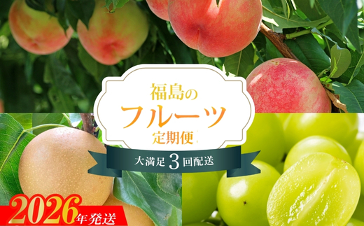 No.2528 【2026年発送分】フルーツ３種定期便　（桃約３kg、梨約３kg、ｼｬｲﾝﾏｽｶｯﾄ2～3房）
