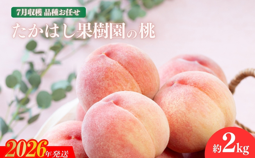 No.2530たかはし果樹園の桃　7月収穫 福島市産 白桃 品種 おまかせ (ちよひめ、日川白鳳、暁星、白鳳、あかつき) 約2kg【2026年発送 先行予約】