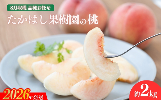 No.2531たかはし果樹園の桃　8月収穫 福島市産 白桃 品種 おまかせ (白鳳、あかつき、まどか、よさこい桃、川中島白桃、ゆうぞら ) 約2kg【2026年発送 先行予約】