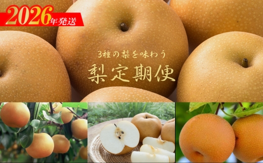 No.2535梨の3品種定期便【2026年発送】