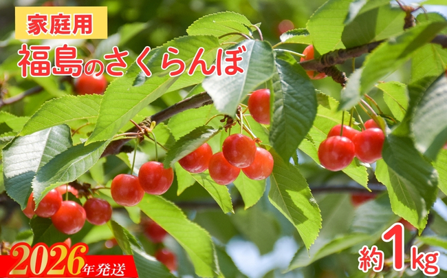 No.2575【ご家庭用】さくらんぼ 品種お任せ 約1kg（バラ詰、小粒）【2026年発送】