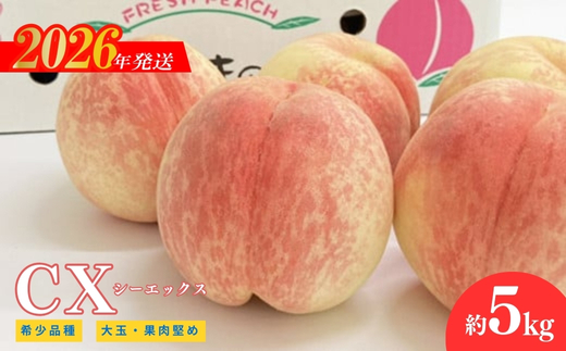 No.2581希少品種CX/シ－エックス 約5kg【2026年発送　先行予約】