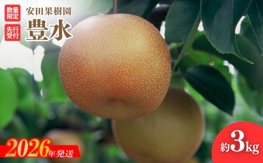 No.2608梨　豊水　約3kg【2026年発送 先行予約】