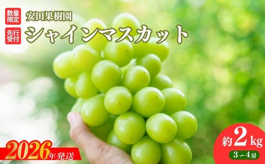 No.2613ぶどう　シャインマスカット約2kg【2026年発送 先行予約】