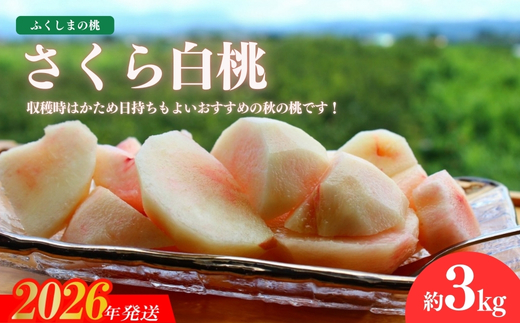 No.2640福島の桃「さくら白桃」約3kg【2026年発送】