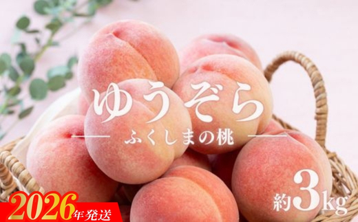 No.2653福島のもも　ゆうぞら　約3kg【2026年発送】