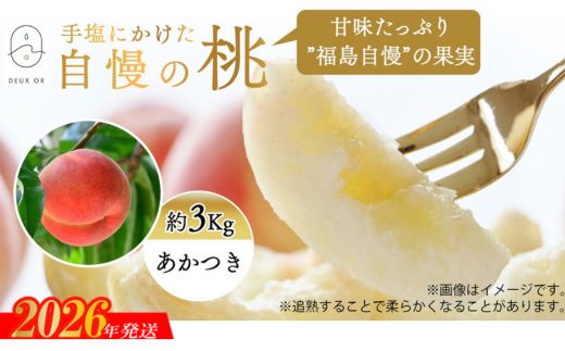 No.2668もも「あかつき」約3kg【2026年発送】