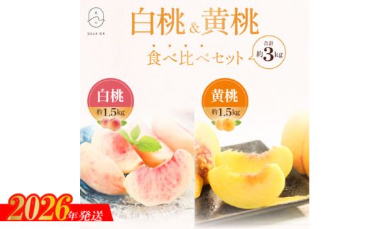 No.2672白桃＆黄桃食べ比べセット　約3kg【2026年発送】