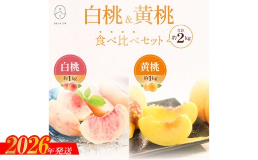 No.2673白桃＆黄桃食べ比べセット　約2kg【2026年発送】