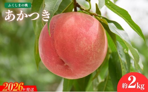 No.2686もも「あかつき」約2kg【2026年発送】