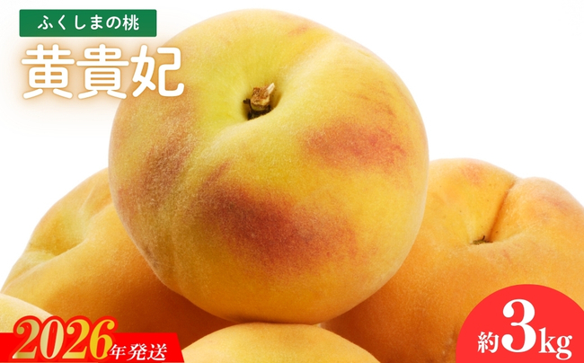 No.2688福島のもも 黄貴妃　約3kg【2026年発送】