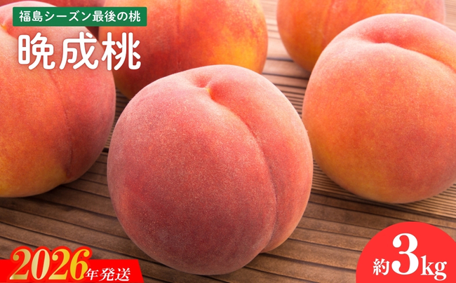 No.2689福島シーズン最後の桃『晩成桃』約3kg【2026年発送】