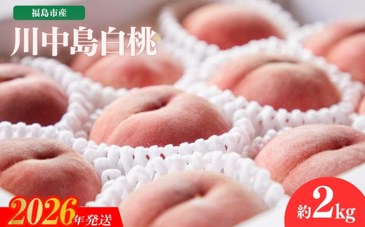 No.2723福島市産　川中島白桃　約2kg【2026年発送】