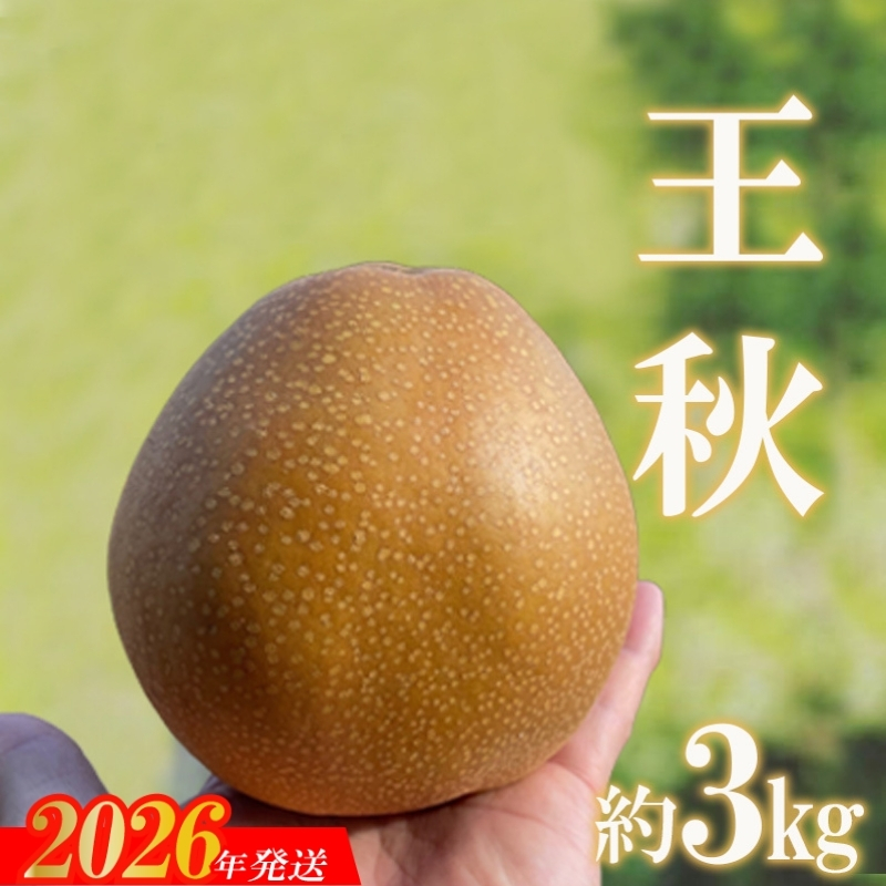 No.2735旬の特選梨 王秋 約3kg【2026年発送　先行予約】