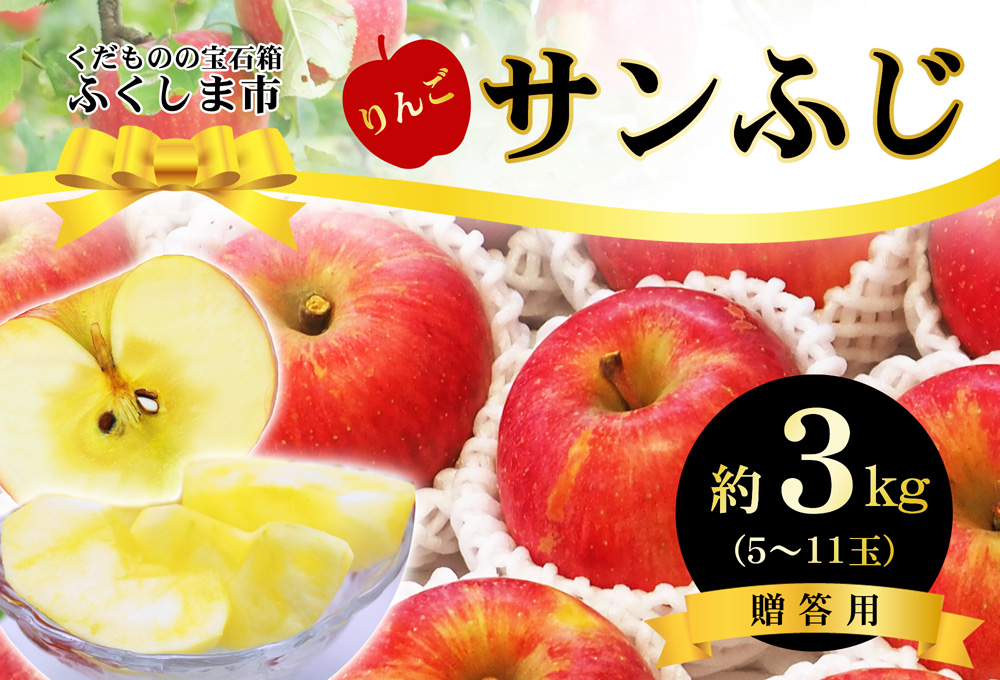 No.2771 ふくしまのサンふじりんご　約3kg【2025年度発送】
