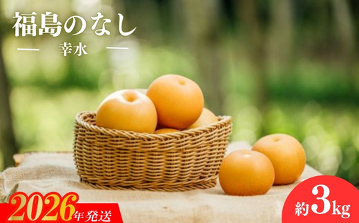 No.2780旬の特選梨 幸水3kg【2026年発送　先行予約】