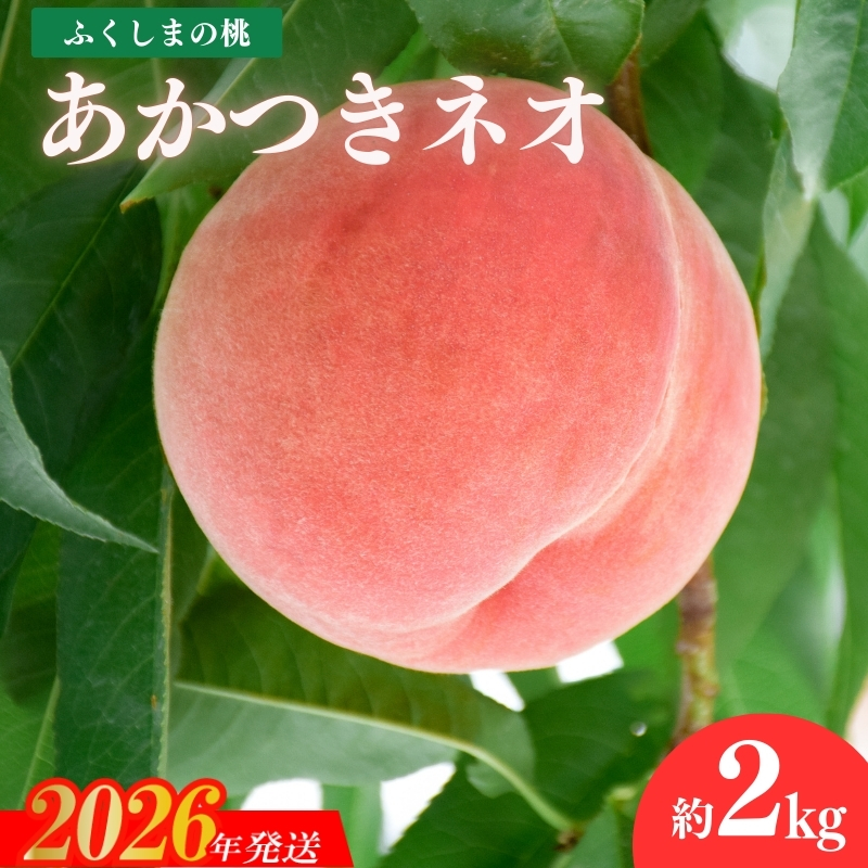 No.2783福島のもも「あかつきネオ」2kg【2026年発送 先行予約】