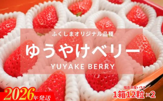 No.2850福島市産 いちご　ゆうやけベリー1箱12個入り（400g）×2箱【2026年１月下旬より発送】