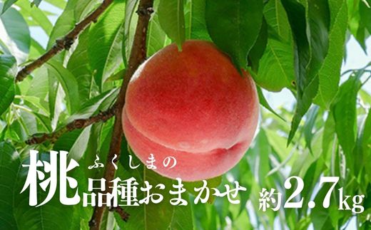 No.2870 もも（品種おまかせ）ご家庭用　約2.7kg　【2026年発送】