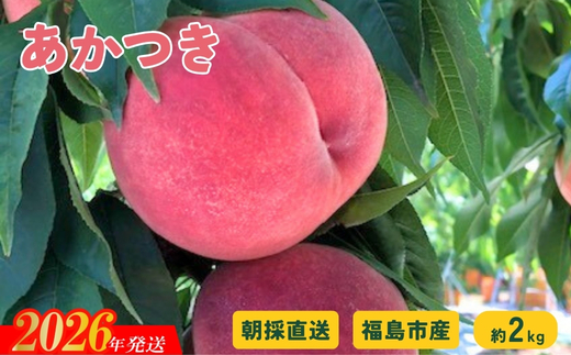 No.2875 朝採り直送！福島の桃「あかつき」約2kg 【2026年発送 先行予約】