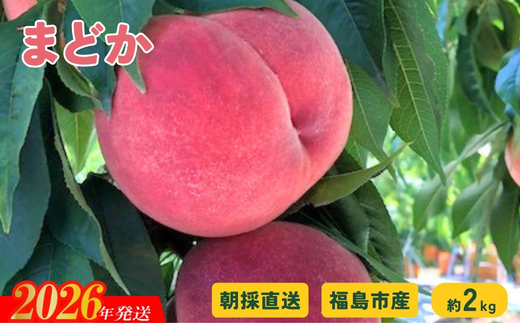 No.2876 朝採り直送！福島の桃「まどか」約2kg 【2026年発送 先行予約】