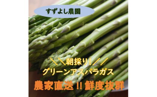 No.2878 【農家直送】鮮度抜群！アスパラガス500g　贈答用【2025年発送】