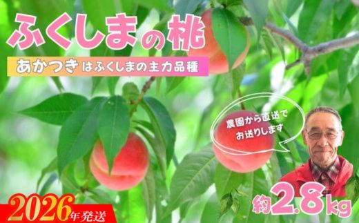 No.2896【限定150箱】ふくしまのもも あかつき 約2.8kg【2026年発送 先行予約】