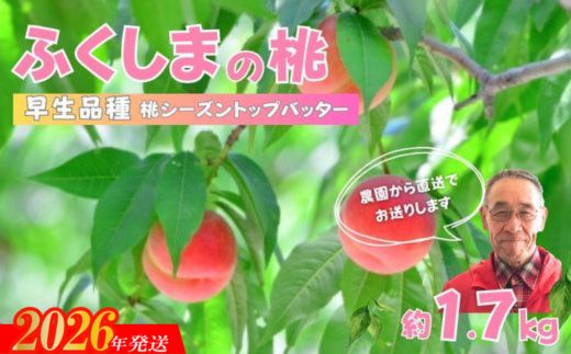 No.2897【限定50箱】ふくしまのもも 早生品種 約1.7kg【2026年発送 先行予約】