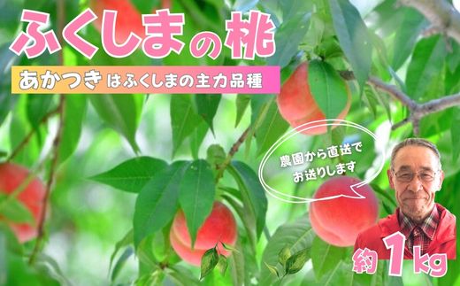 No.2898【限定50箱】ふくしまのもも　あかつき 約1kg【2025年発送】