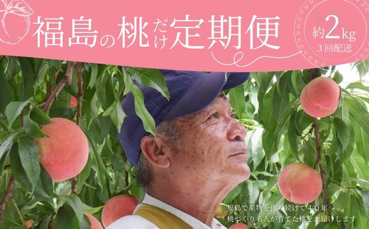 No.2917 ヤマ考紺野果樹園 福島の桃だけ３種定期便 各約2kg【2026年発送】
