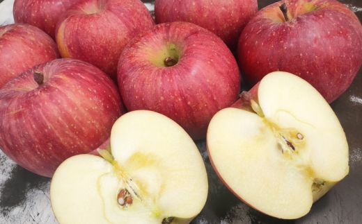 No.2921 ふくしまの「サンふじ」約1.8kg【2025年度発送】