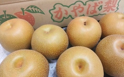 No.2922かやば梨「幸水」約1.5kg【2026年発送】