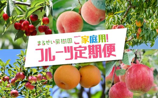 No.2945 まるせい果樹園　ご家庭用6回定期便【2025年発送】