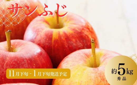 No.2966 ししどりんご園　りんご「サンふじ」約5kg 秀品【2025年度発送】