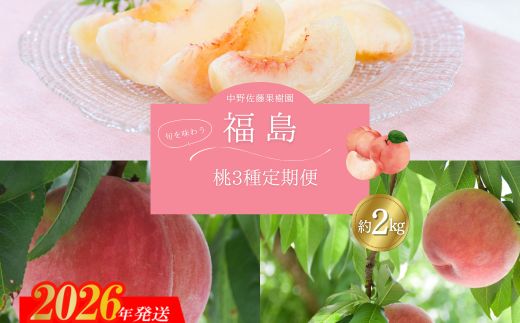 No.2967中野/佐藤果樹園 福島の桃３種定期便 各約2kg【2026年発送 先行予約】