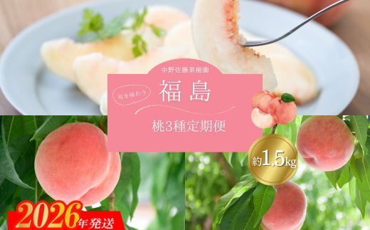 No.2968中野/佐藤果樹園 福島の桃３種定期便 各約1.5kg【2026年発送 先行予約】