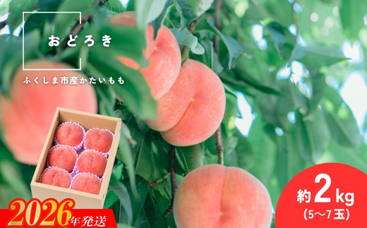 No.2987 固い桃 おどろき 約2kg(5～7玉)【2026年発送 先行予約】