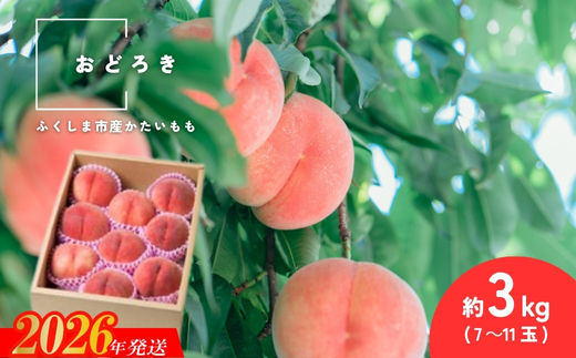 No.2988 固い桃 おどろき 約3kg(7～11玉)【2026年発送 先行予約】