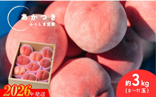 No.2990 福島定番 福島県福島市産もも「あかつき」約3kg(8～11玉)【2026年発送 先行予約】